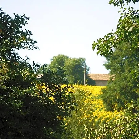 Chatenet Bed & Breakfast 3*