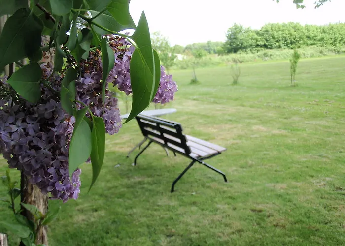 夏特内住宿加早餐旅馆 Sauzé-Vaussais